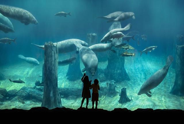 River Wonders (River Safari Ticket)