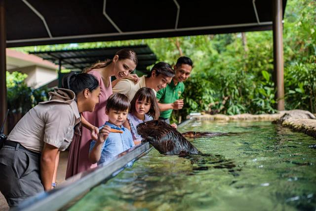 River Wonders (River Safari Ticket)